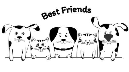 Face cats and dogs best friends Face cats and dogs best friends isolated on a white background. Funny baby puppy and kitty. Happy friendship day. Kids graphics for t-shirts. Greeting card.のイラスト素材