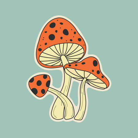 Hand drawn of fly agaric mushrooms. Flat design.のイラスト素材