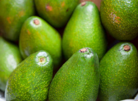 Avocado fruit in the market. Close up. Selective focus.の写真素材