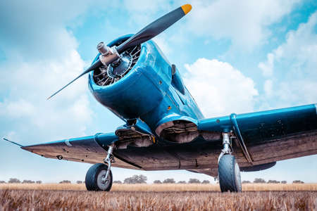 historical aircraft on a meadowの写真素材