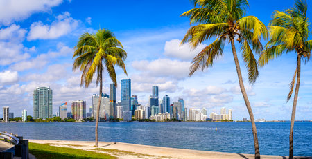 the skyline of miami with palm trees, floridaの写真素材