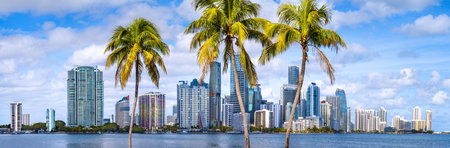 the skyline of miami with palm trees, floridaの写真素材