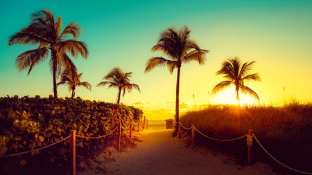 early morning at miami beach, floridaの写真素材