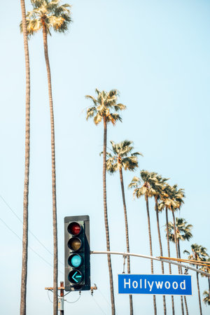 Palm trees against a blue sky