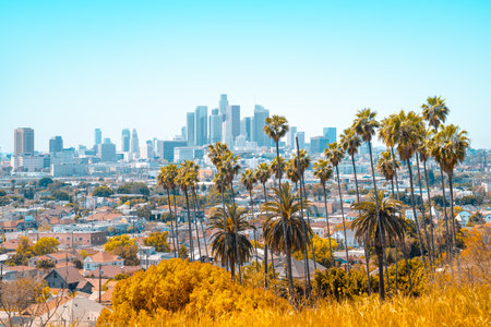 panoramic view of the Los Angeles skylineの写真素材