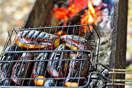 Shish kebabs are fried on the grill. Summer vacation on nature green grass sunny day. Relax on weekend.の写真素材