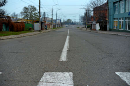 empty asphalt road and floral field of yellow flowers.の写真素材