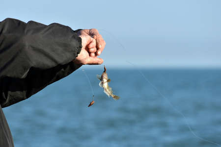 The man took the fish to the fishing pole and held it in his hands trying to free it from the hook.
