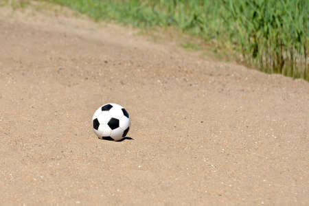 A soccer ball lies on the sand near a pond with plants