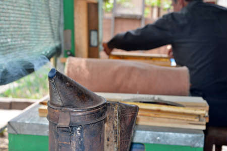 Smoke to disperse the bees in the apiaryの写真素材