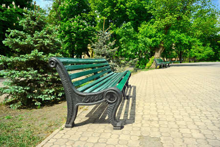 Green bench in the park on a warm spring day in summerの写真素材