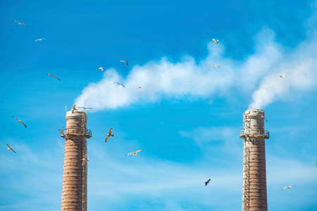 Smoke from pipes in the plant, polluting the environment. Dirty air in the sky.の写真素材