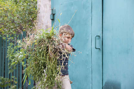 The boy collects the hay and puts it in the garbage.