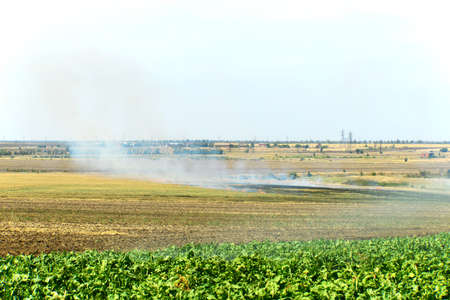 Fire on the field, dry grass burns in autumnの写真素材