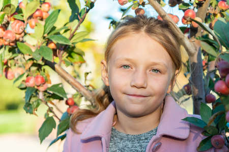 A beautiful girl in a pink coat is standing near an apple tree with fruits in the treesの写真素材