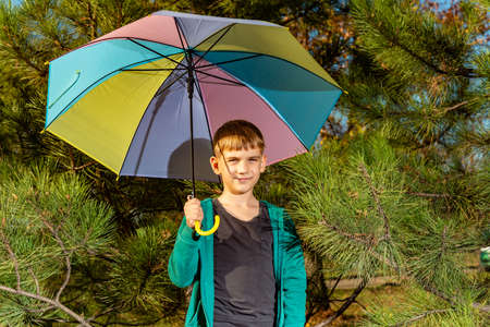 A little boy are under a bright multi-colored umbrella in a pine forestの写真素材