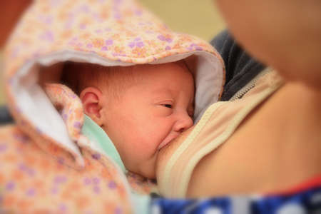 A newborn baby eats milk from the mother's breast.の写真素材