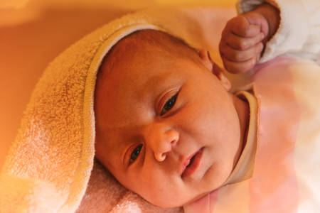 A newborn baby is lying in a pink lullaby on a yellow background with children's toys