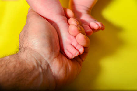 Baby legs on a yellow background, dad holds the small legs of a newborn baby in his handの写真素材