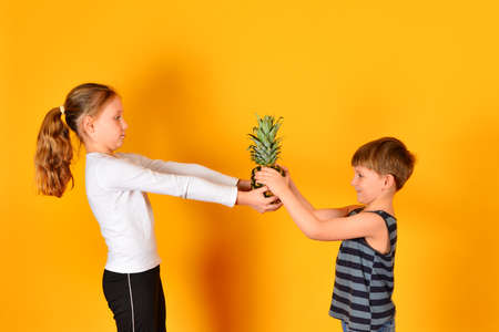 The girl gives pineapple to her younger brother.の写真素材