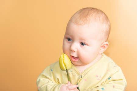 Little three-month girl with a yellow tulip on a beige background in the studio, concept of tenderness and love with a newborn baby.の写真素材
