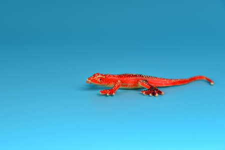 Toy animals made of plastic on a blue background, baby little animals.の写真素材
