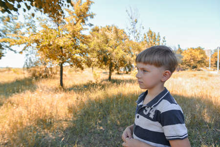 Portrait of a boy in the park, pensive child looks into the distance.の写真素材