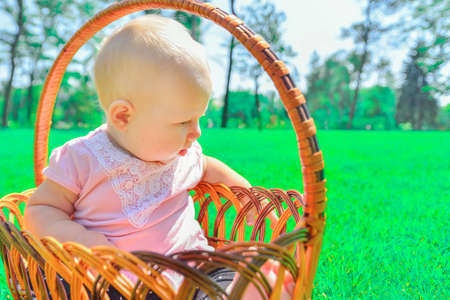 Little child in a wicker basket, joyful and happy little girl in the park.の写真素材