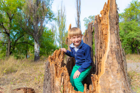 The boy climbed inside an old rotten stump and sits there smiling and rejoicing.の写真素材