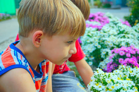 Boy sniffing flowers in a park in a flower gardenの写真素材