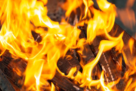Kind fire from firewood for cooking on the street.