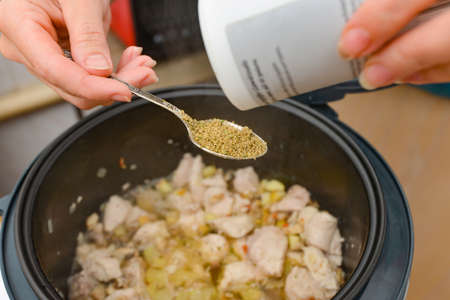 Woman adds spices for cooking meat in a slow cooker.の写真素材