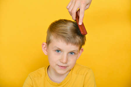 Woman combing a boy with a small comb, little model boy in the studio on a yellow background.の写真素材