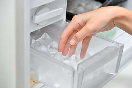 The bartender opens the ice tray, taking it out of the ice maker to chill drinksの写真素材
