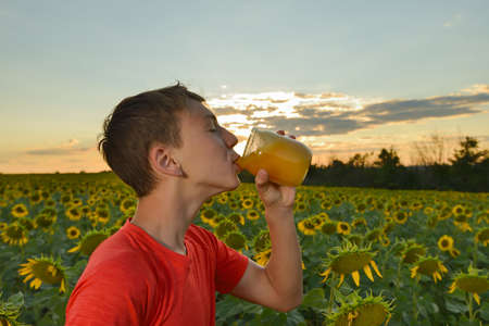 The guy eats honey from a jar against the background of a field with sunflowers and the evening sky. Beekeeping concept.の写真素材