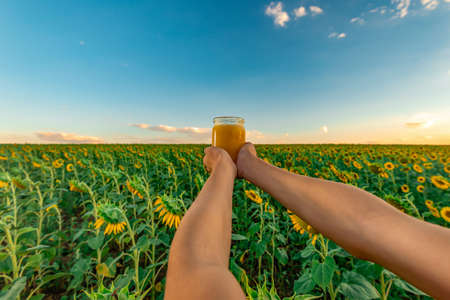 Man's hands hold a jar of honey against the background of a field with sunflowers and the evening sky. Beekeeping concept.の写真素材