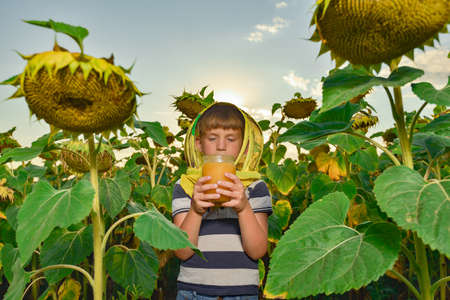 Little boy in a mask of a beekeeper with a jar of honey among sunflowers.の写真素材