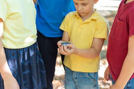 Children in the forest use a compass to study the direction of movement. The concept of children and...