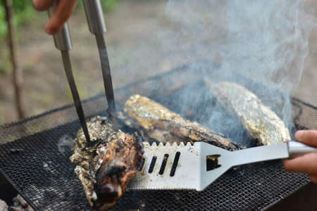 Baked fish in foil on a grill over a fire, picnic cooking. Fire and heat from wood in the grill in...