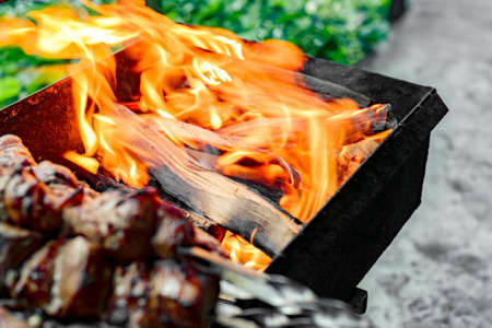 Burning wood in the barbecue grill.