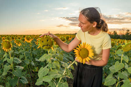 A girl strokes a sad sunflower on the head among a field of sunflowers.