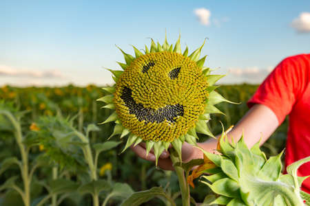 The boy is holding a sunflower with a joyful smile on the flower.の写真素材