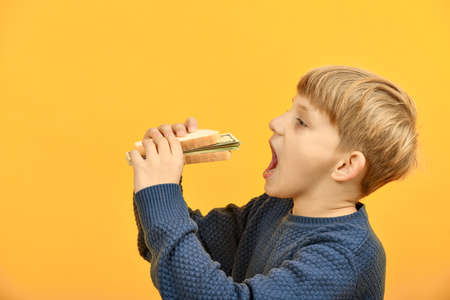 The boy holds in his hand a sandwich with bread and dollars near his open mouth.の写真素材