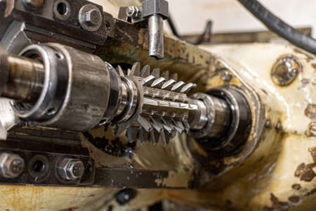 Worm cutter for the manufacture of gears on a gear cutting machine.の写真素材