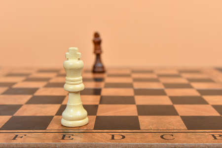 The white and black queen stand at the beginning of the field on the chessboard.の写真素材