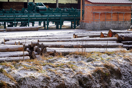 An enterprise for processing timber into timber in the system of the logging industry.