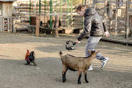 The guy the photographer runs after the chicken and shoots it on a video camera mounted on the steadic. Shooting a video on a ranch.の写真素材