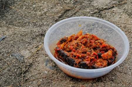a package of food for a picnic consisting of fried noodles, sardine fish sauce, and riceの写真素材