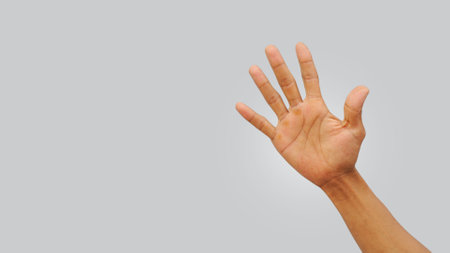 Human hand showing five fingers isolated on gray background. Copy space.