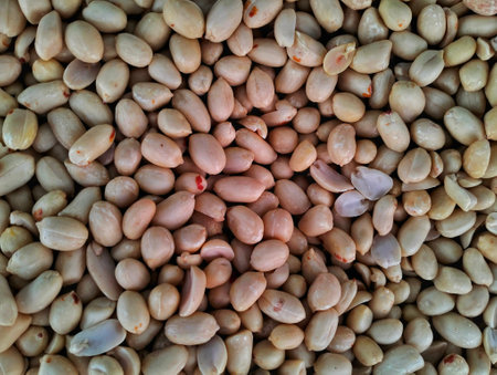 beans in the marketの写真素材